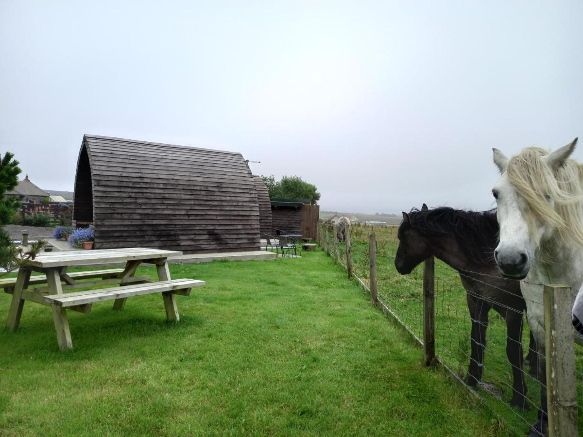 Hillside Camping Pods And Shepherd'S Hut วิค ภายนอก รูปภาพ